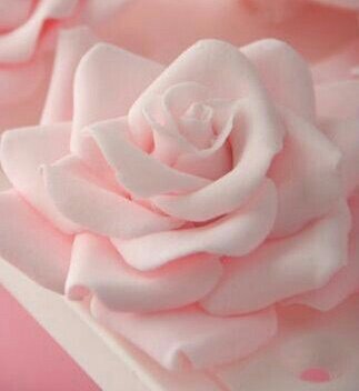 حتى بياض الثلج يصير أسودا حين تخالطه سود النوايا ، ويموت الحب شنقا بالظنون ، لا بالشضايا