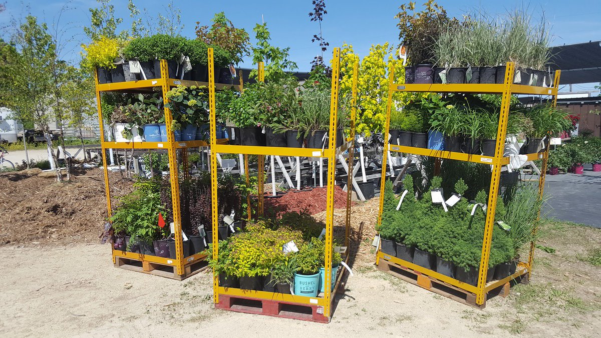 CountrysideLL's tweet image. Restocking the #GardenStore with a fresh selection of #shrubs &amp;amp; #perennials