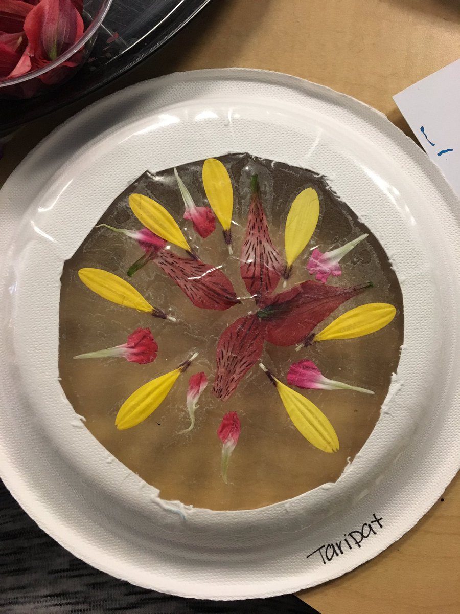 MsCPearsall's tweet photo. Now this is #flowerfull! Creating patterns and mandalas with flowers 🌸🌺🌷🌼#STEM #whatadayinKindergarten @GWSchoeler @Educ8trKim @GWSCampbell https://t.co/F3bEnRiHNU