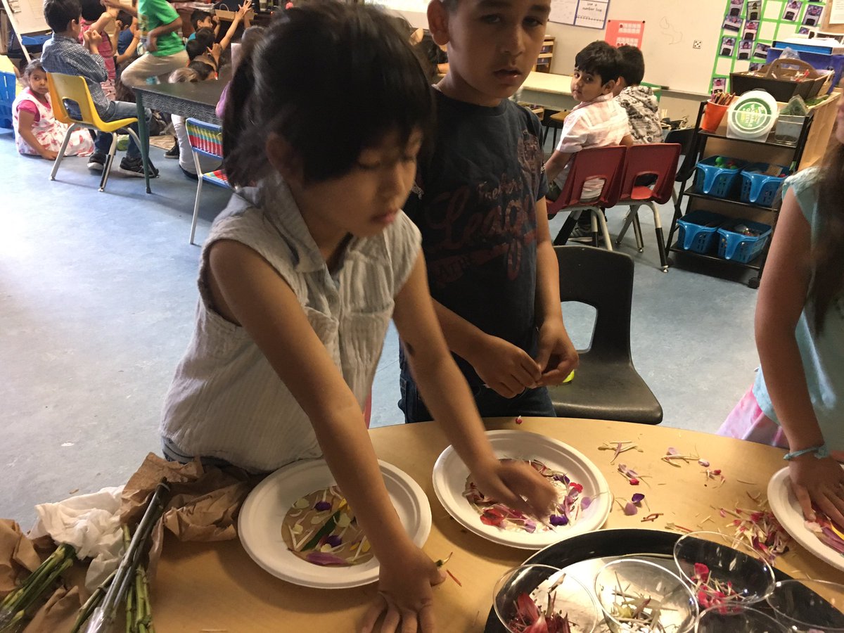 MsCPearsall's tweet photo. Now this is #flowerfull! Creating patterns and mandalas with flowers 🌸🌺🌷🌼#STEM #whatadayinKindergarten @GWSchoeler @Educ8trKim @GWSCampbell https://t.co/F3bEnRiHNU