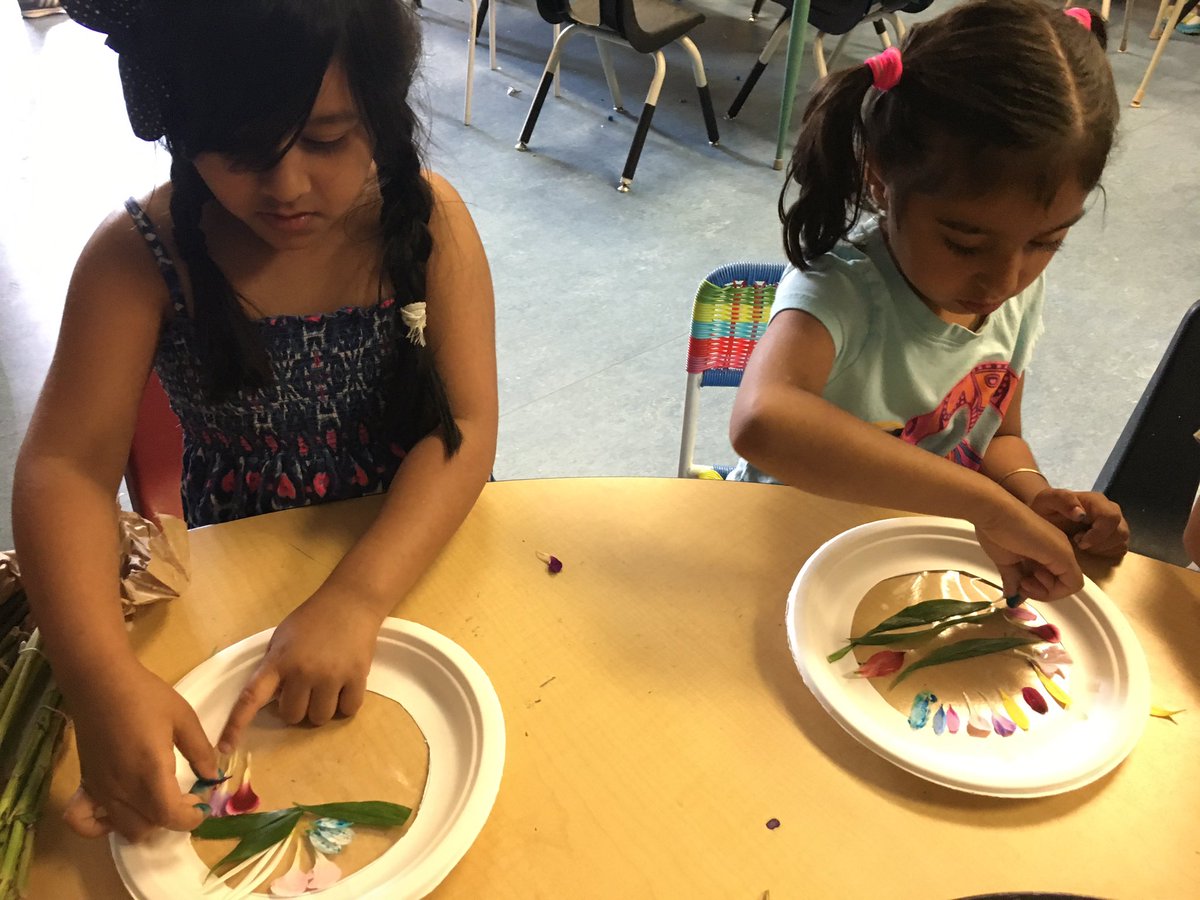 MsCPearsall's tweet photo. Now this is #flowerfull! Creating patterns and mandalas with flowers 🌸🌺🌷🌼#STEM #whatadayinKindergarten @GWSchoeler @Educ8trKim @GWSCampbell https://t.co/F3bEnRiHNU