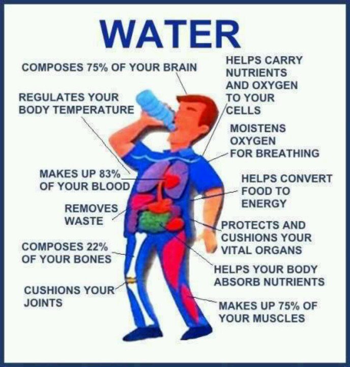 It's #waterwednesday! Check out how water benefits your body &amp; keeps you healthy! #WaterIsLife #WaterWednesday