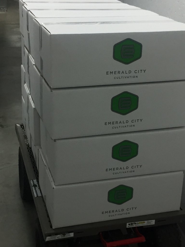 ECCthc's tweet photo. More wax and shatter heading out to @G2GRec, @cannabisprovisions, @GreenFireBanginGlass, and Yakima Weed https://t.co/7UzywEFnZQ