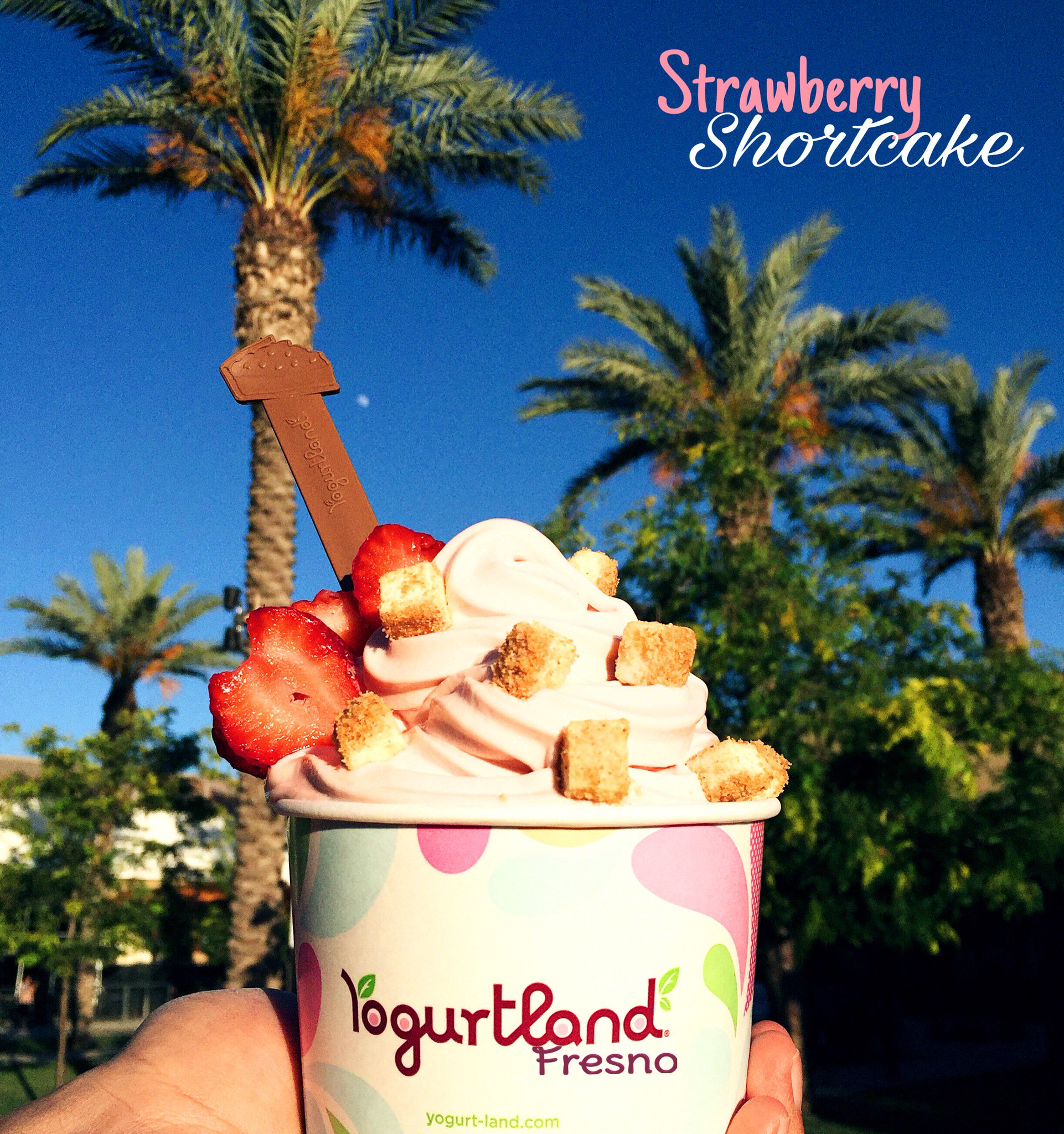 Yogurtland Fresno on Twitter "Experience the JOY of 5 Summer Inspired