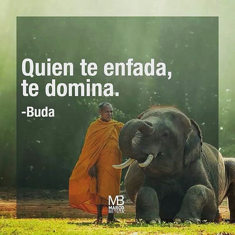 Frases De Buda Sobre El Karma