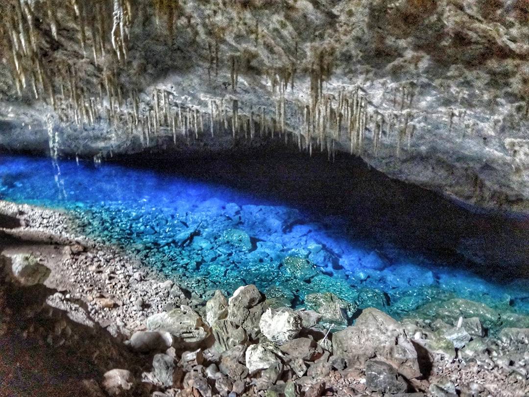 BonitoMSOFICIAL's tweet photo. Gruta do Lago Azul 💙

Foto:@ninojunior01

Siga:@AgenciaSucuri 

Acesse: https://t.co/0PT3Tmrozg

Tag: #BonitoMSoficial e #AgenciaSucuri https://t.co/IZNtNkOY1o