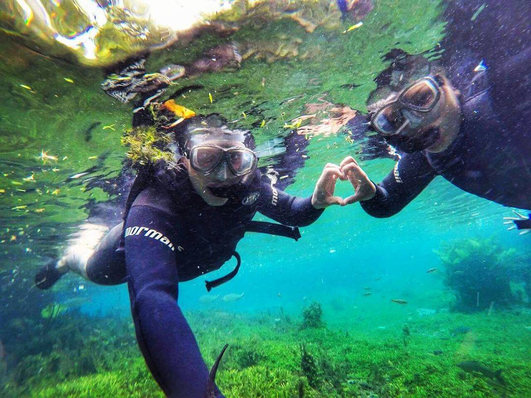 BonitoMSOFICIAL's tweet photo. <3 Nascente Azul. 

Foto:@ninojunior01

Siga:@AgenciaSucuri  

Acesse: https://t.co/0PT3Tmrozg

Tag: #BonitoMSoficial e #AgenciaSucuri https://t.co/1d5mI6rK1w