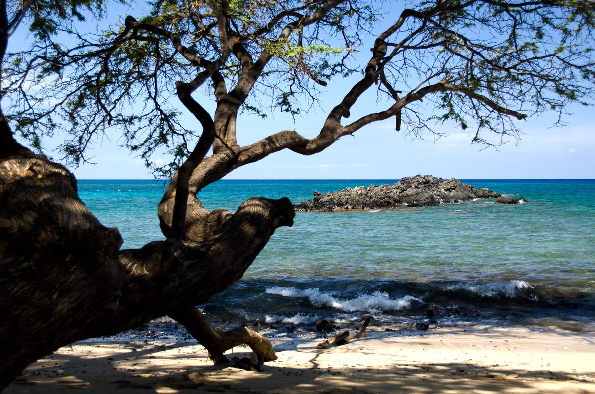 2Papayas's tweet photo. #WaialeaBay #Beach69 on #HawaiiIsland https://t.co/tRjvCvQVst https://t.co/NLHyMpqzWx
