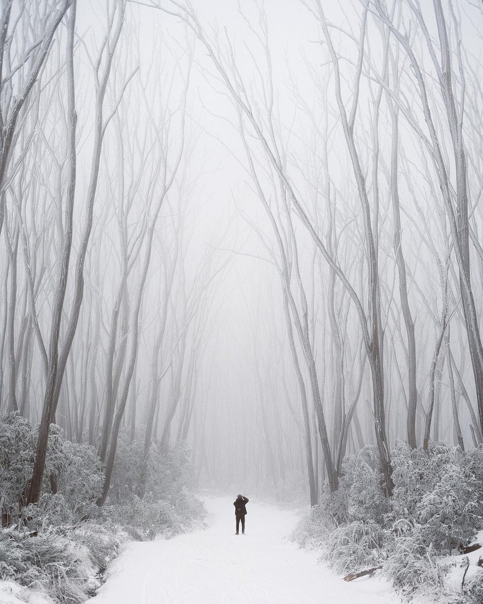 Melbourne Australia On Twitter Snow Way Yes Way Get Ready For The Opening Of The Ski Season This Saturday Photo Via Ig Ainraadik At Lake Mountain Wandervictoria Https T Co 1zzarsny8m