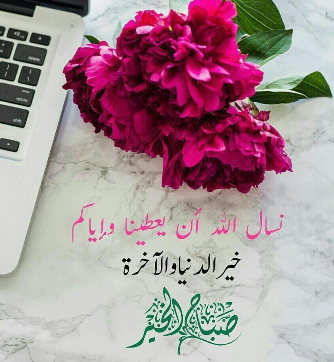 Habsi07's tweet photo. https://t.co/Xzl9dkWD68