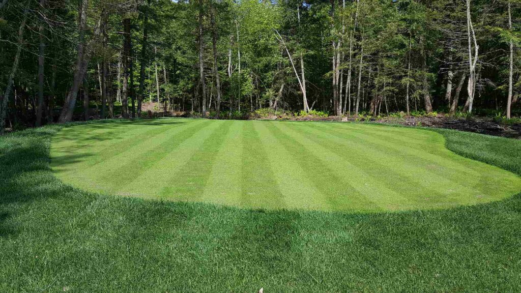 speareseeds's tweet photo. Fantastic stand of Pure Select @T2GBentgrass @T2GTurfGuy #firstcut 4 weeks after seeding #northernontario cold wet Spring #thisstuffisgood https://t.co/ovqln2TgNp