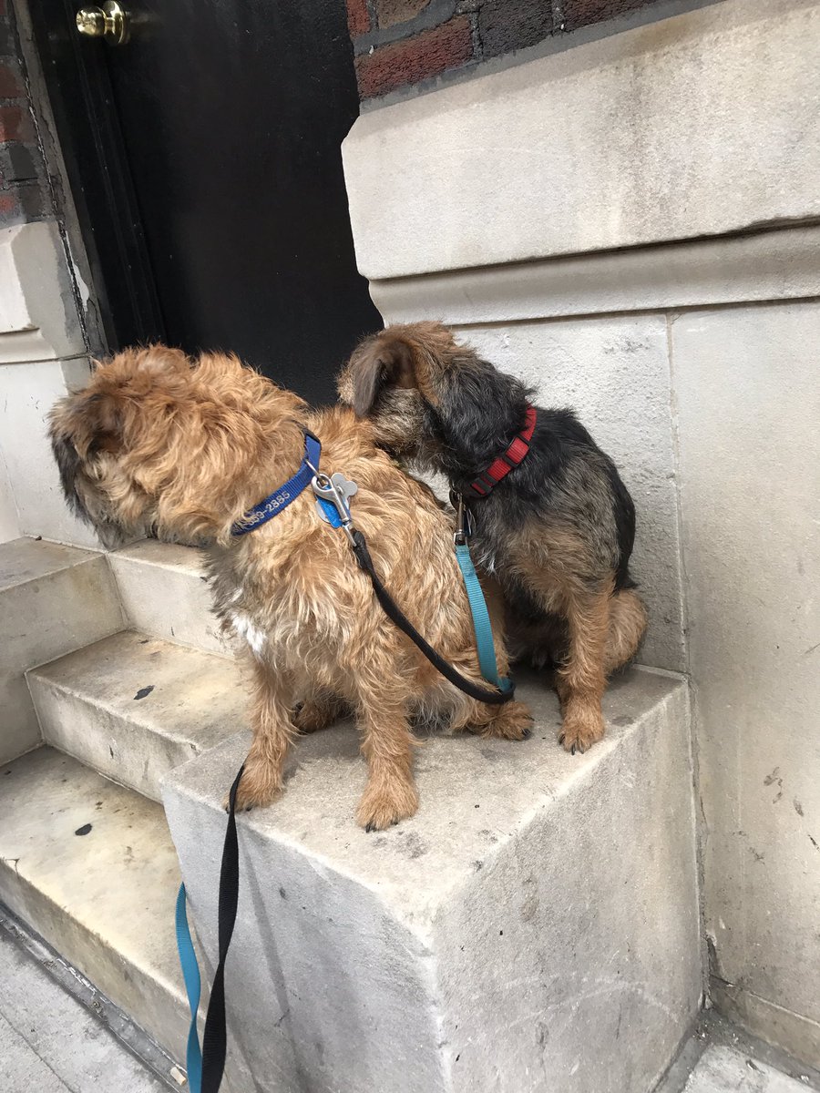 LaRoux_the_BT's tweet photo. What the freak was that, @Gadget_the_BT ?! https://t.co/D0n8PuhUM3