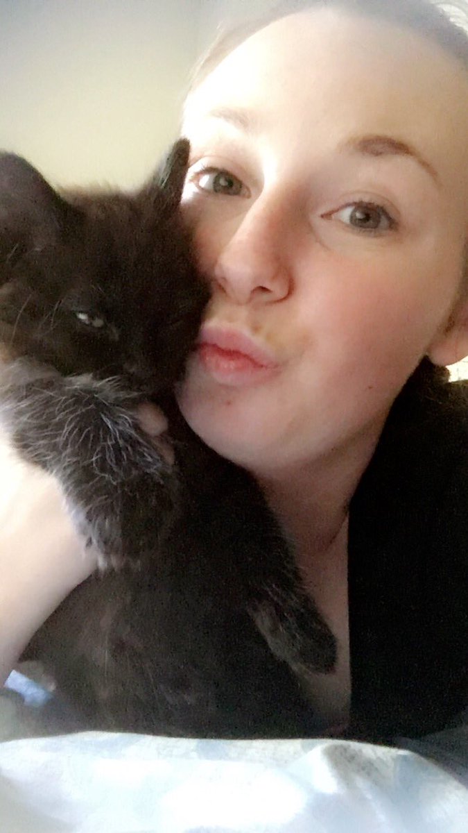 eclair_bear's tweet photo. My kitten hates me. #daggereyes #fluffball #purrfectsnugglebug #forcedloveandcuddles #notsorry https://t.co/bRfmf9nUTJ