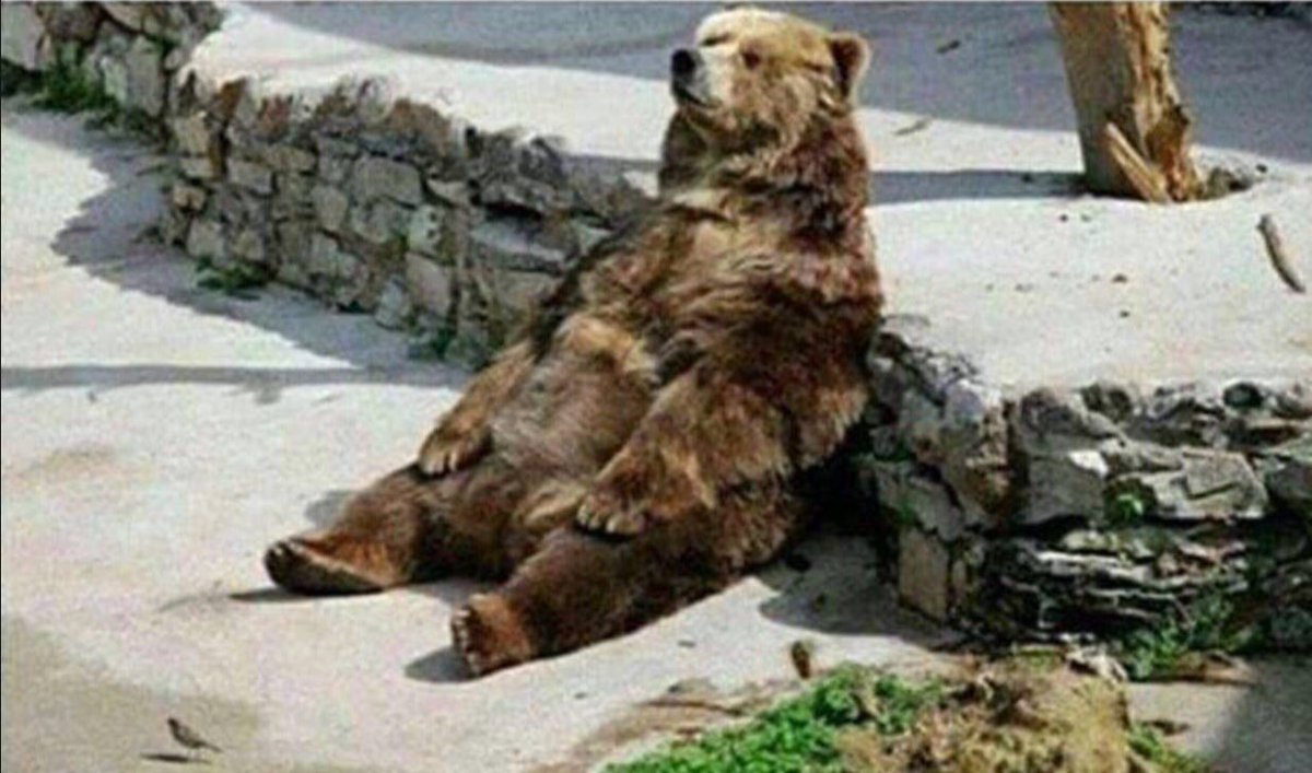 stillblazingtho's tweet photo. When you smoke by yourself and start thinking about the stars, space, and who we really are https://t.co/GRha1dOsiD