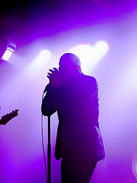TrinaCAWood's tweet photo. #Harpmaster 💜💀🖤 @realhughdillon #burningdownthehouse #theviewhere @thevelvetTO was stunning 💜@theheadstones #littlearmy #oneforthememories 🎯 https://t.co/JaFcVleILb