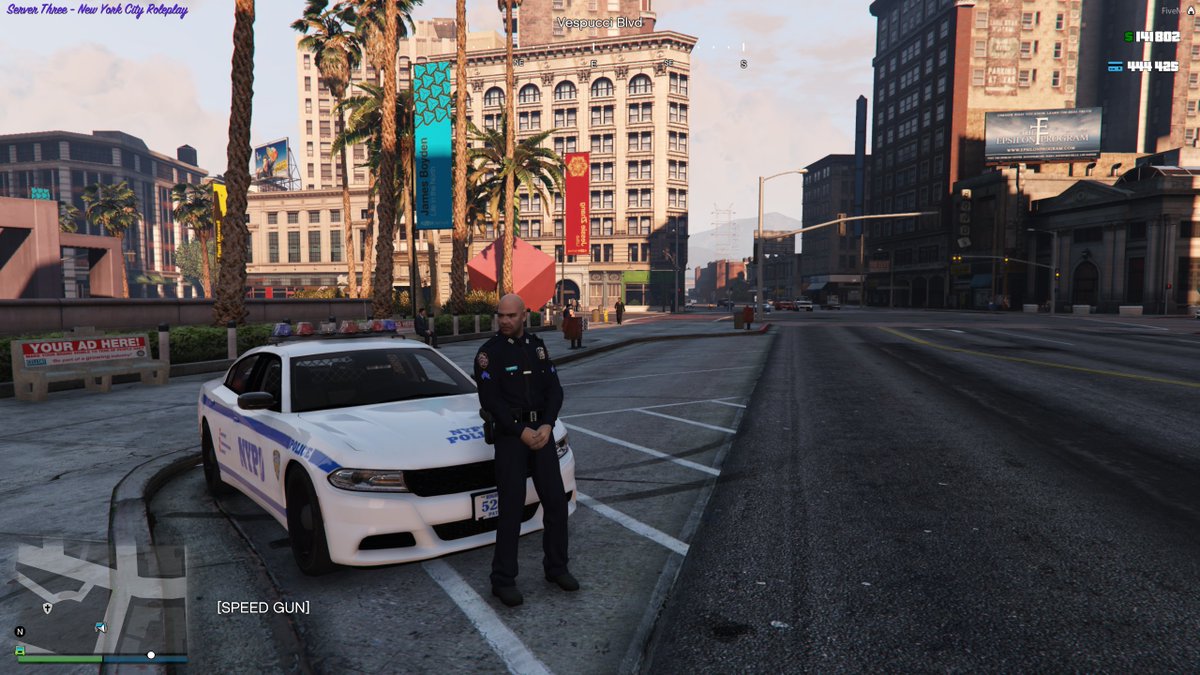 The cops and roleplayers of GTA Online