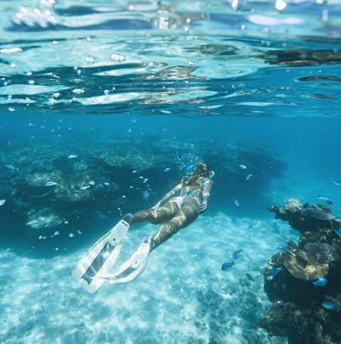 pocwifi's tweet photo. Exploring the underwater world of the Great Barrier Reef,Australia (📸:@khyorchard)
#greatbarierbeef #australia #portablewifi #wifirental https://t.co/3uhC8HA53d