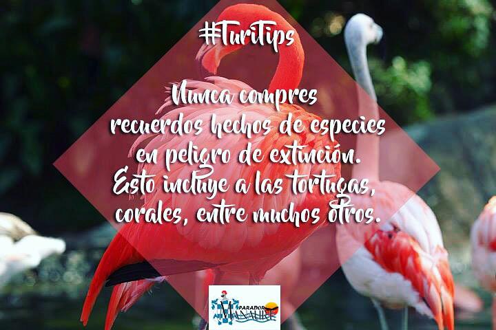 paradormanaure's tweet photo. #TuriTips ❤🌸 https://t.co/3tW9avqhmT