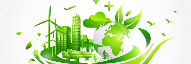 3️⃣ : #Vin, performance et #DeveloppementDurable 🌳, c’est possible ! - @Nicomak_

✳️ bit.ly/2rY5aCe
#WineMorning 🍷⚡️