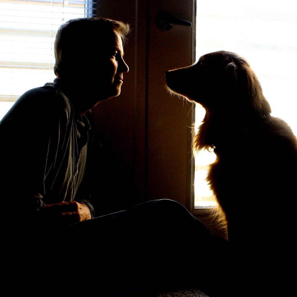 TheRealDogBlog's tweet image. I am trying to put Dad under a trance... #goldenretrievers #love #dogsrule