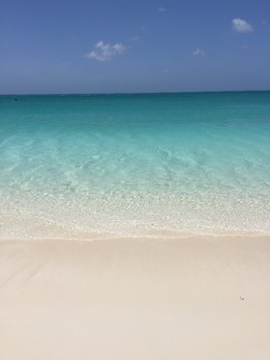 sarabethincali's tweet photo. The most spectacular colors are found in nature. #colorsofthesea #beach #ocean #turksandcaicos #travel #amwriting https://t.co/xizPafUUao