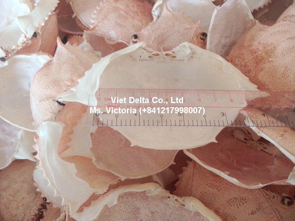 seafoodwaste52's tweet photo. Dried Crab Shell Meal
#crabshellmeal
#crabshellpowder
#seafood
#driedseafood
#animalfeed
#poultryfeed
#aquafeed https://t.co/MtXOzk5Gru