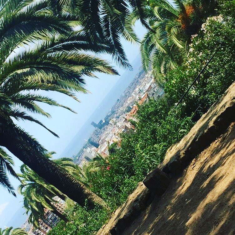 mountainsmacros's tweet photo. Barcelona was amazing. Such a beautiful city ⚽️🇪🇸⛲️🌴✨ #Barcelona #travelling #travelbloggers #TravelBlog https://t.co/3Qn2AooQyl