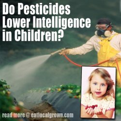 Homestead4Honey's tweet image. #Highlevels of #pesticides may #compromise #brain #health and #lower #IQs naturalblaze.com/2017/06/alread…