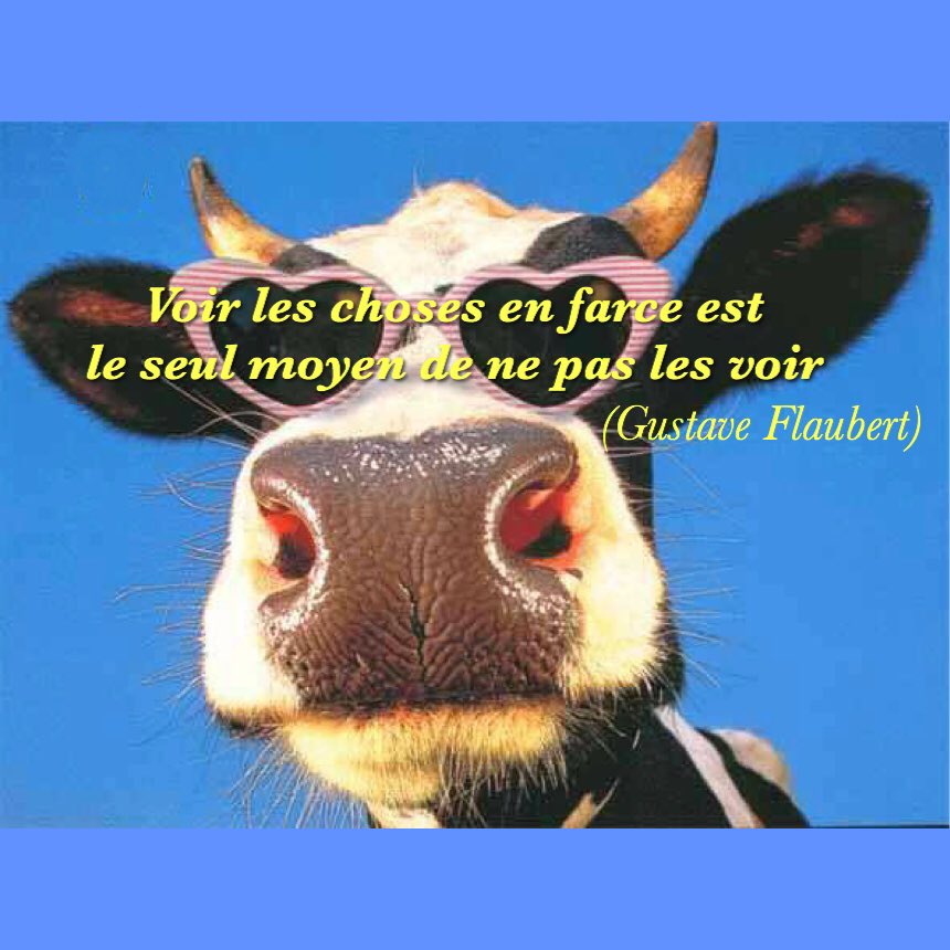 Jacques Mercier on X: "Bon jeudi ! #rire #optimisme #humour #bonheur #yolo  https://t.co/GGF9SyggzQ" / X