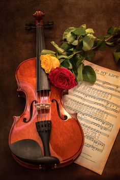 <a href="/2200Nemar/">ka</a> Thank  you