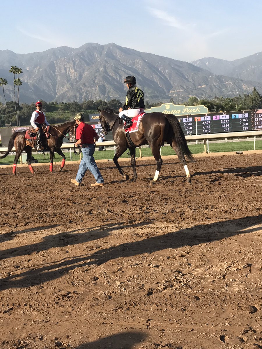 AndAwayTheyJoe's tweet photo. Both over came Laminitis and both won G1s in the last 2 weeks #ladyeli #balabali. https://t.co/kRdKyvad5K