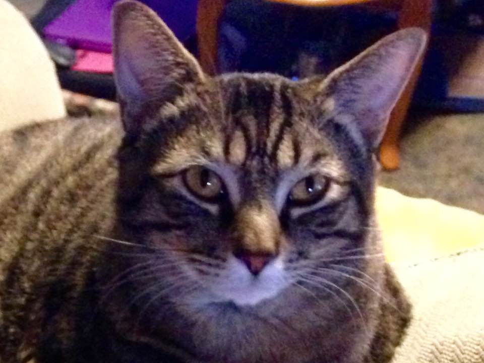 Have a great night everyone!!!  Revis says goodnight too  <3