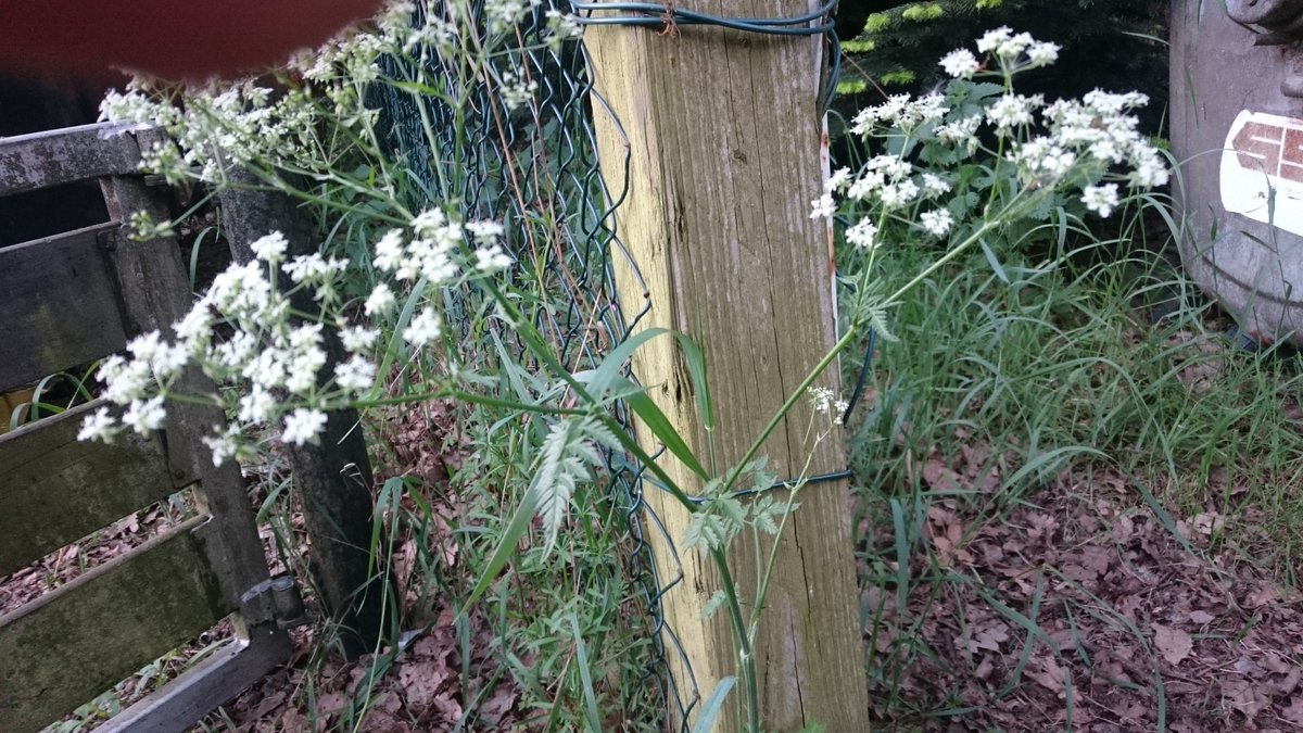 Einen schönen &amp; energiereichen Tag wünschen wir #Sommer #Sonne #MDKonzept