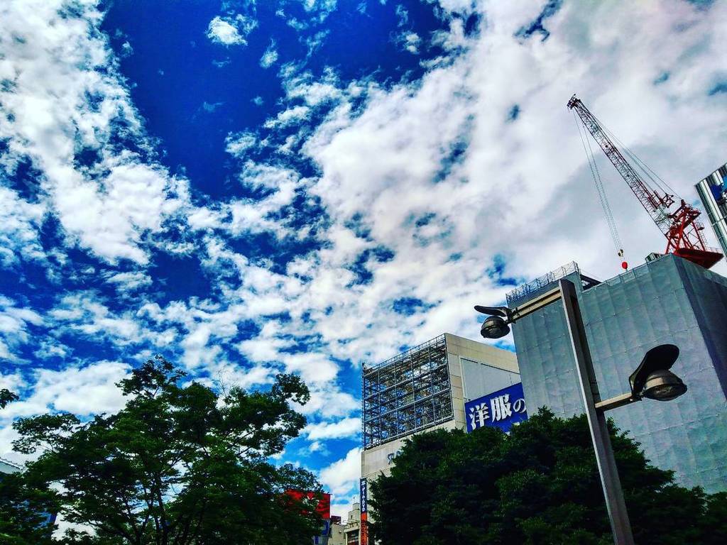 grizzly_1969's tweet photo. 雲がいい感じ。
#quaphonepx #lgv33 #shinjuku https://t.co/2GIoN1tlFN https://t.co/OYnGe6jp6j