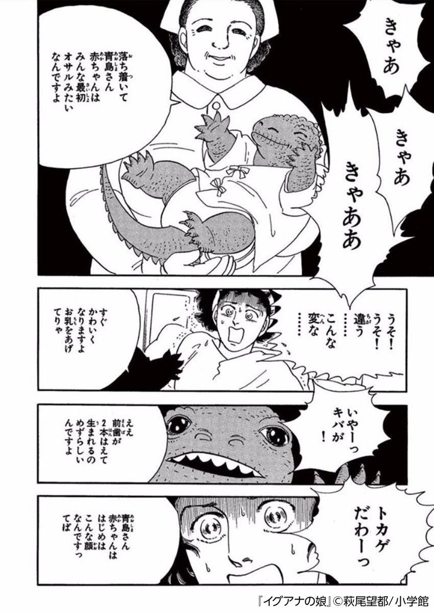 まんが王国 公式 いつでも最大50 還元 その日 生まれてきたのはとても可愛い女の子だった だけどなぜか母親の目には その子の姿がイグアナに見える 萩尾望都が描く 母と娘の間に横たわる愛と憎しみの葛藤とは T Co D4fw2a2jne