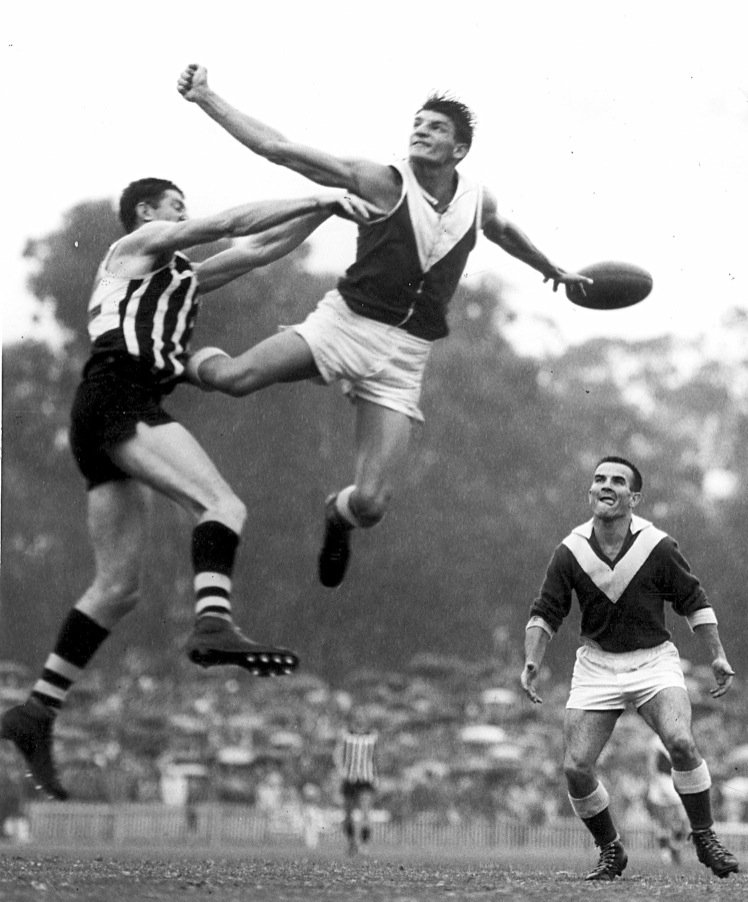 michelangeloruc's tweet photo. When they were giants ... @SANFL @PAFC @NorthAdelaideFC #celebrating140years #barryobrien #halloffame https://t.co/GG99TIC9Rl
