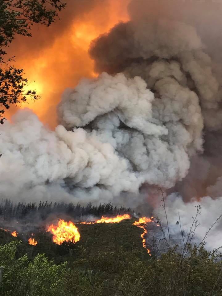 20 seperate fires during the #KnysnaFire. The Western Cape has been targeted this year and has basically burnt down. When will this stop?