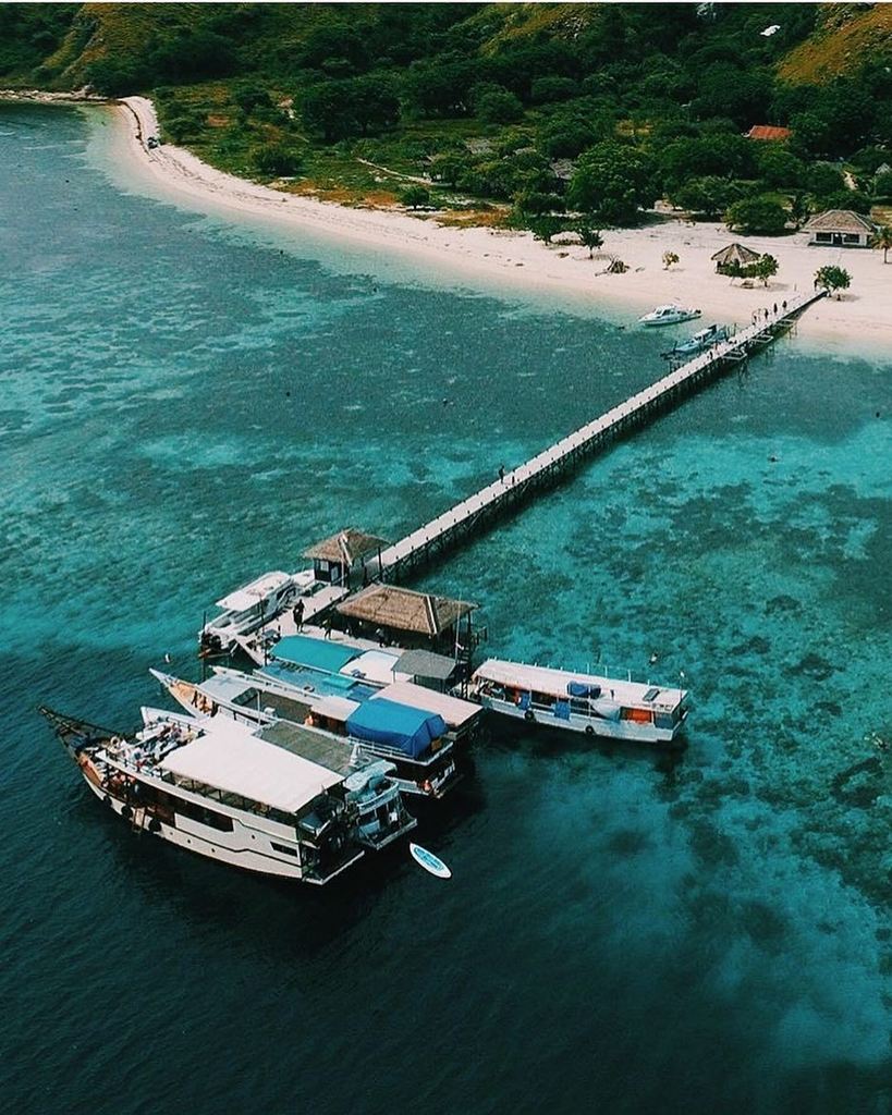 dolphintrvlmate's tweet photo. "We live in a wonderful world that is full of beauty, charm, and adventure. There is no end to the adventures. We can have if only we seek … https://t.co/OujqTUWbnX