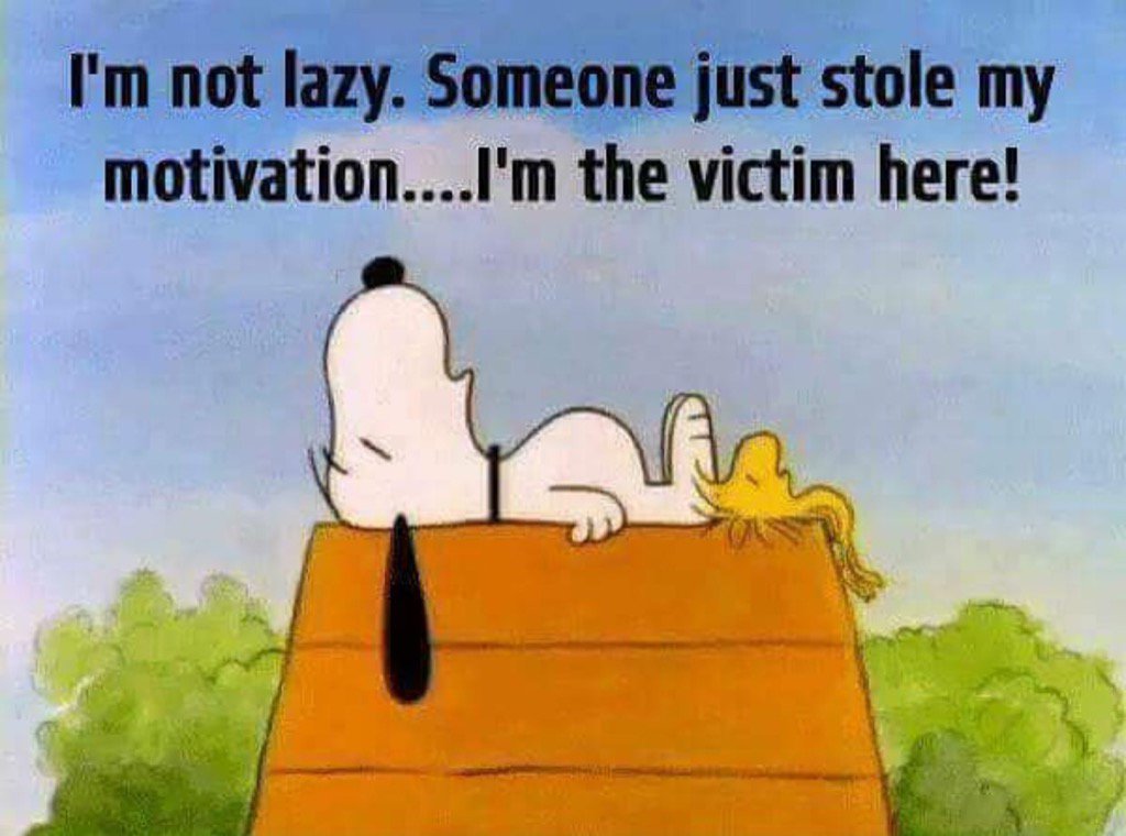 Deplorable2_a_T's tweet photo. This is so me today! https://t.co/67dOnS5vdp