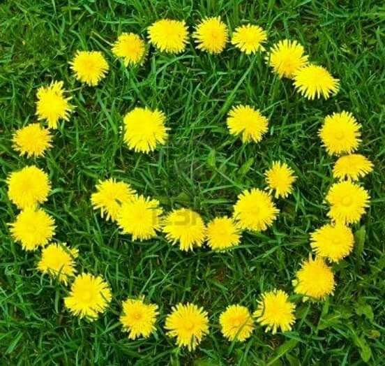 antoniocotugno4's tweet photo. Buon giorno https://t.co/uzx9H60gWn