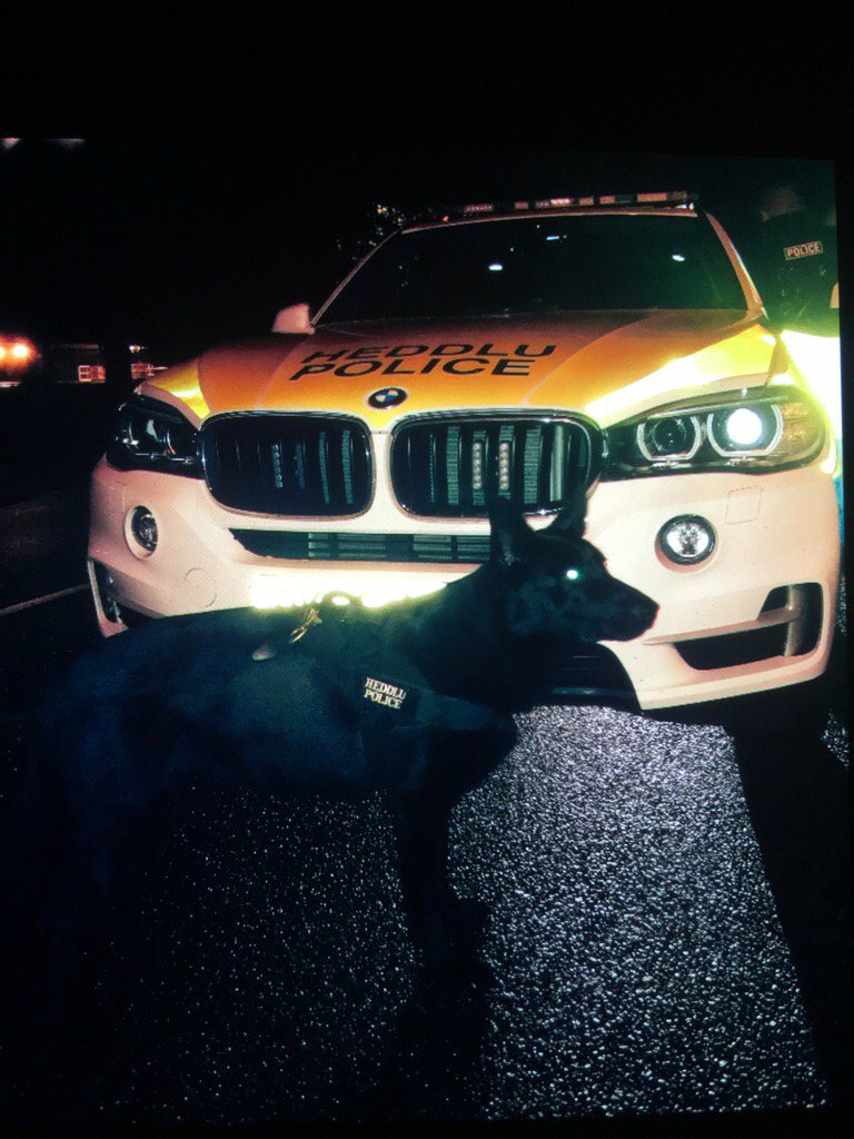 ChNWPoliceDogs's tweet photo. Another drink driver decamp last night, and again PDFiona found her man! #PDFiona #OneInCustody #DontDrinkAndDrive https://t.co/ArsKEv6MrB