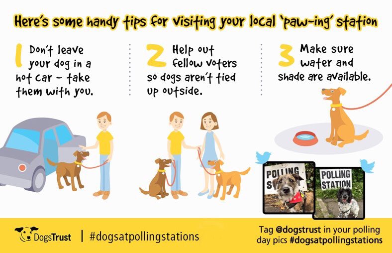 DogsTrust's tweet photo. Today's the day -#dogsatpollingstations! We've teamed up with  @TwitterUK to launch new emoji &amp; 'Paw-ing Stations' > https://t.co/29cohDuhIg https://t.co/sDfo3Gs1xh