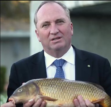 AusRecFishing's tweet photo. Great to see Deputy Prime Minister @Barnaby_Joyce supporting @FRDCAustralia with the National Carp Control Plan! https://t.co/fCnneYFZod https://t.co/4asAoJMwbT