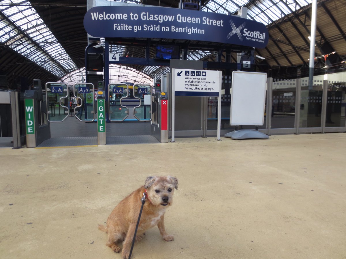 No! It's not dogs at train stations mum! This is so embarrassing! #dogsatpollingstations