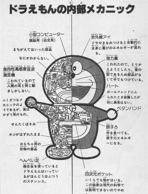 性器確認できず 