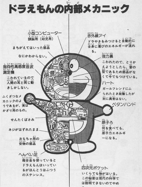 性器確認できず 
