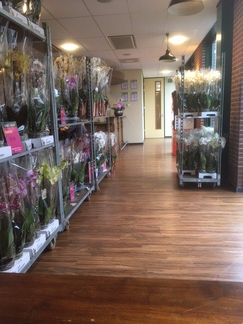 Levo Shop tweet media