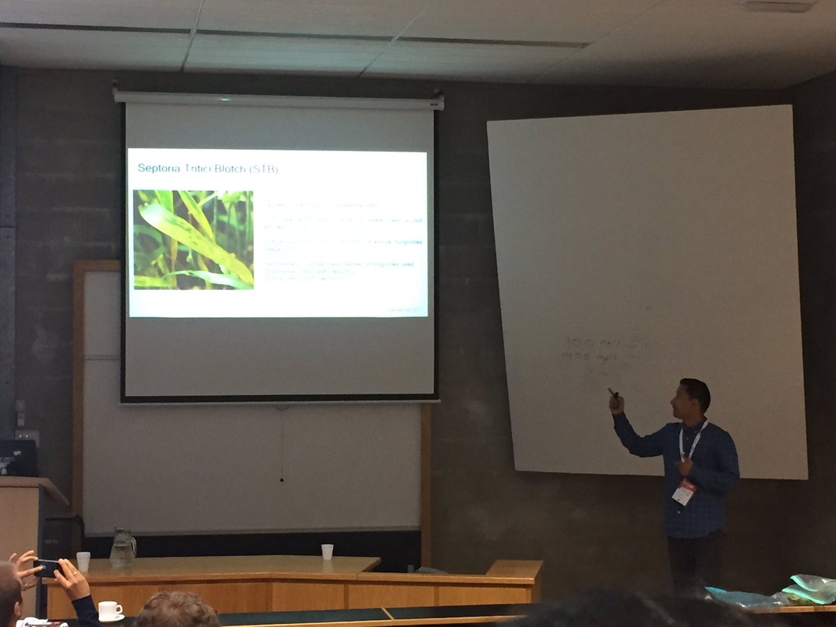HarriRB's tweet photo. Our @cerealpath student @JungSujit talking at #IPSAM17 about fungal effectors in Z. tritici @ucdagfood #wheat #septoria #MarieCurie https://t.co/KBuwrTaNBn