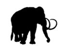 Join the Mammoth Walks on Sun 18 June around the Meres &amp; Mosses: 20, 12, 7 &amp; 4 miles from Welshampton Village Hall. shropshirewildlifetrust.org.uk/events/2017/03…