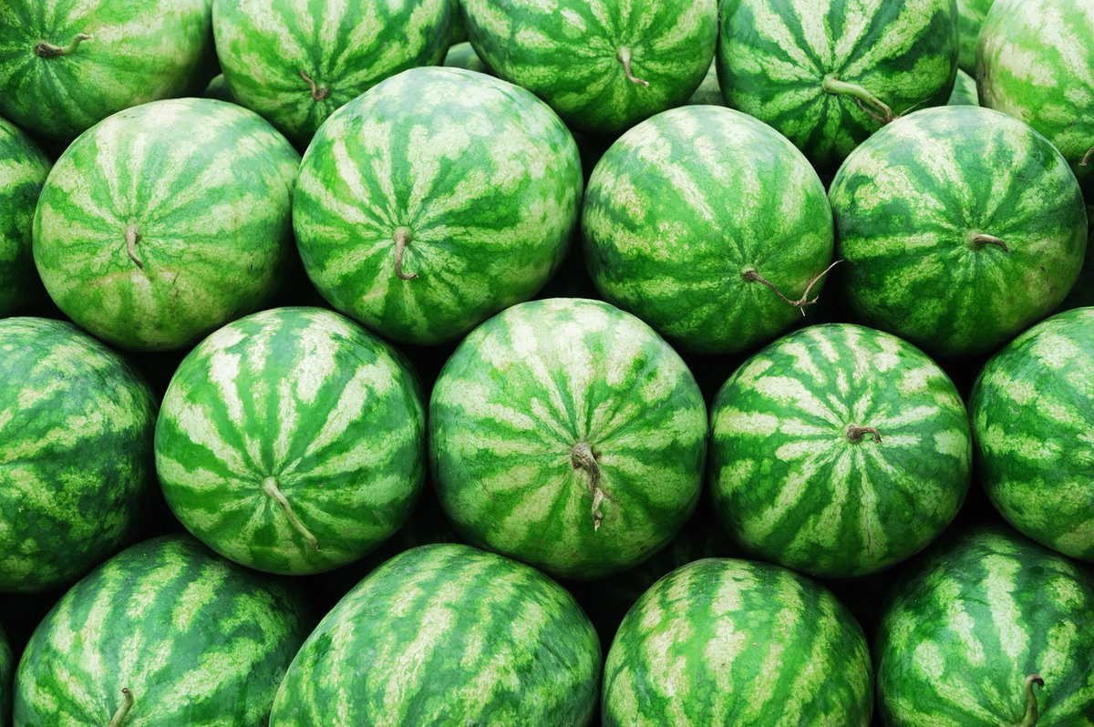 PSLFood's tweet photo. Update on fruit and vegetable crops

https://t.co/y8bvKuEQuL https://t.co/MOf13fI89A